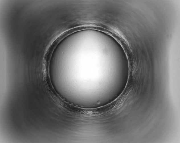 X0000093411360200710260929