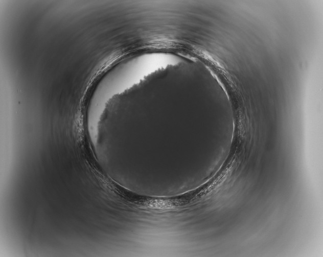 X0000093411362200710260929