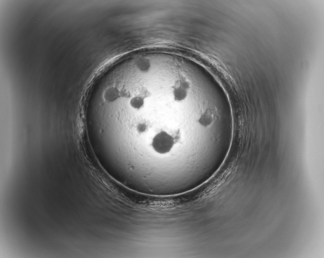 X0000093411363200710260929