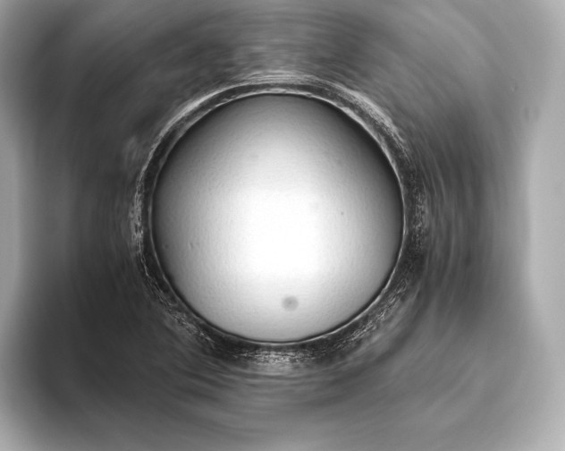 X0000093411364200710260929