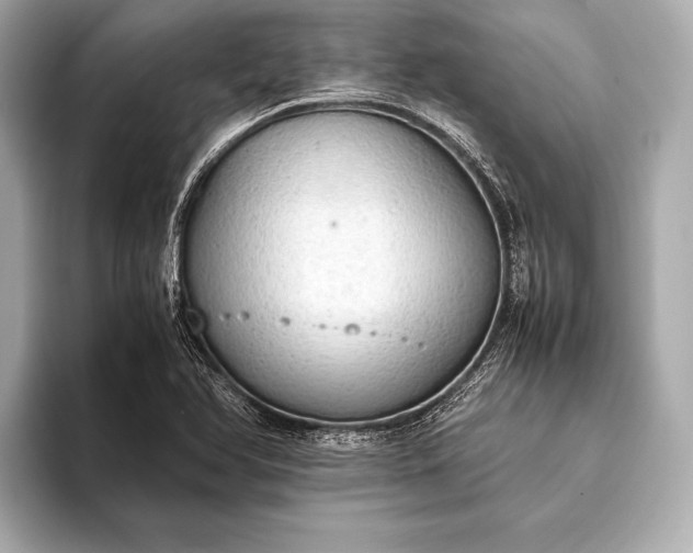 X0000093411366200710260929