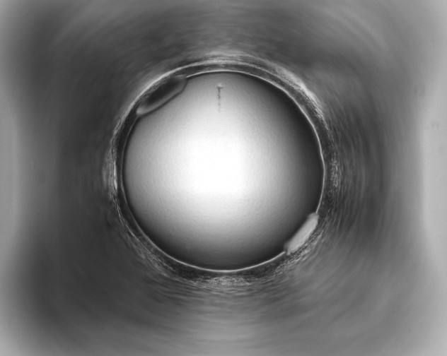 X0000093411368200710260929