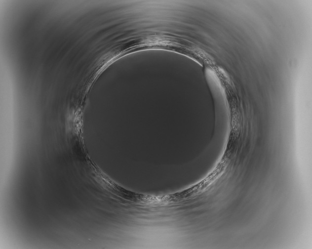 X0000093411369200710260929