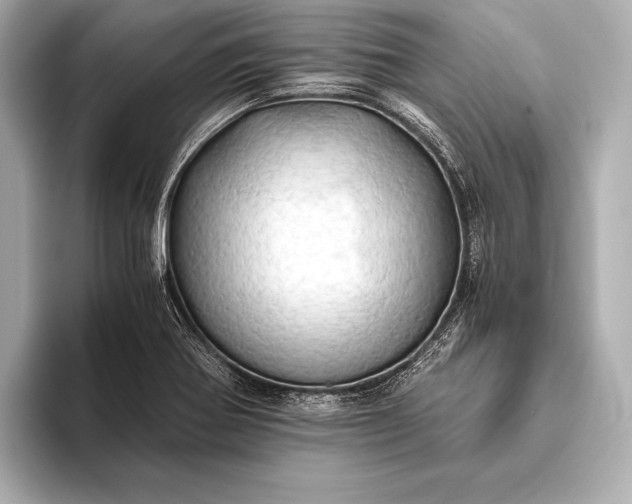 X0000093411370200710260929