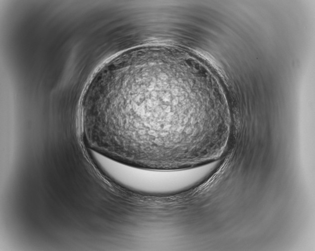 X0000093411371200710260929