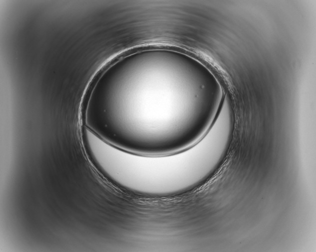 X0000093411372200710260929