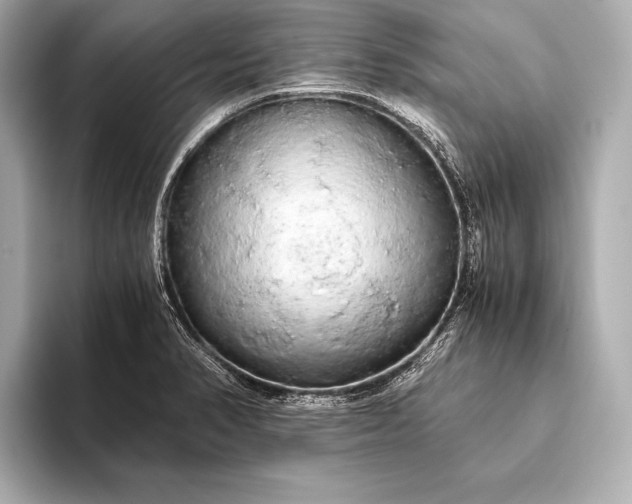 X0000093411374200710260929