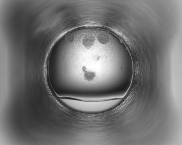 X0000093411375200710260929