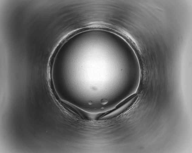 X0000093411376200710260929