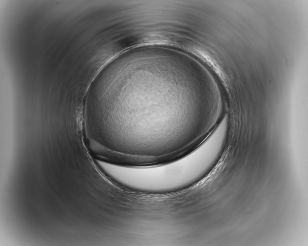 X0000093411377200710260929