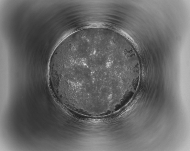 X0000093411378200710260929