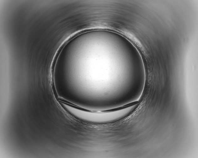 X0000093411380200710260929