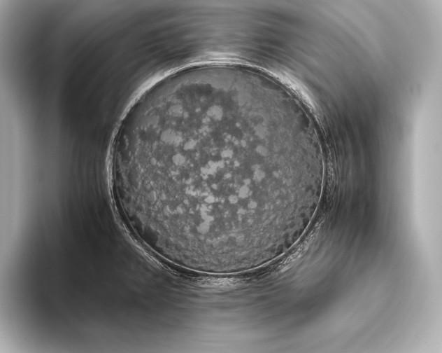 X0000093411382200710260929