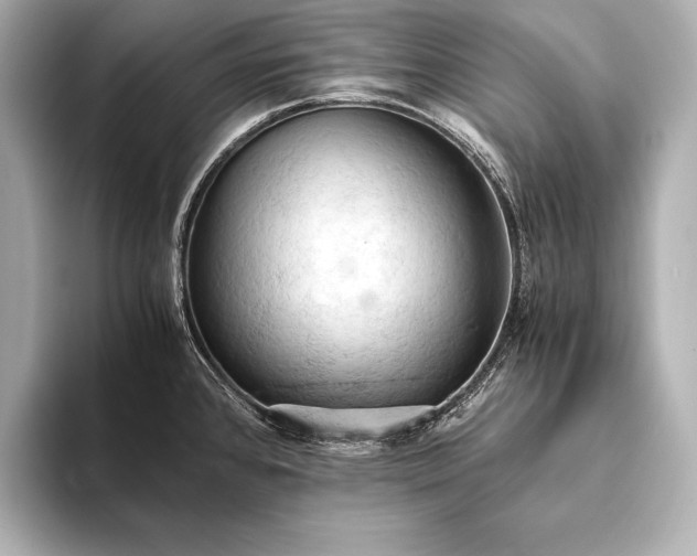 X0000093411384200710260929