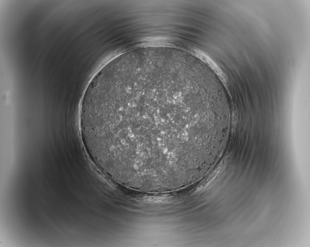 X0000093411386200710260929