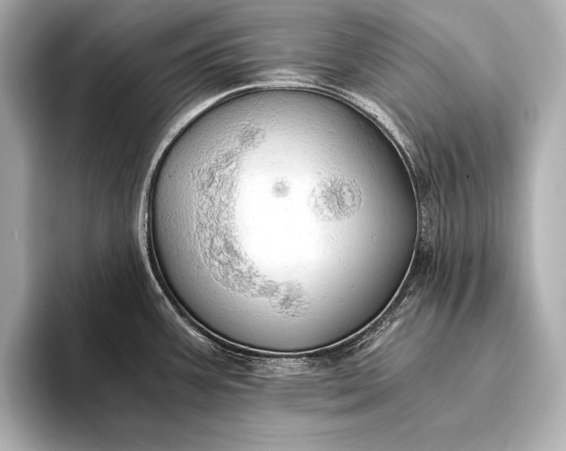 X0000093411387200710260929