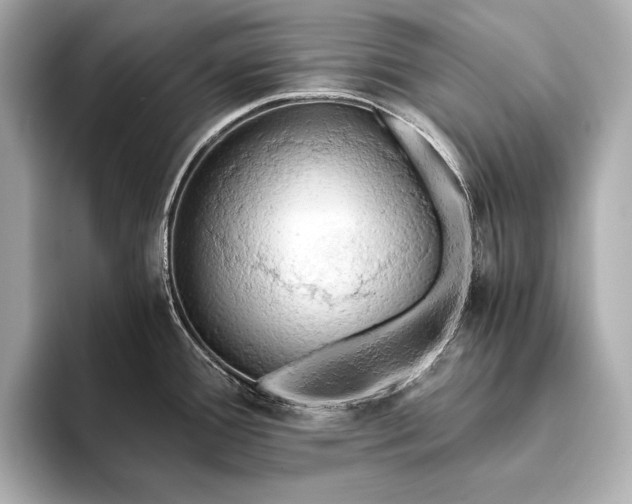 X0000093411388200710260929