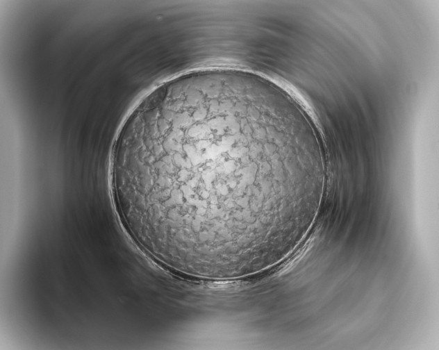 X0000093411390200710260929