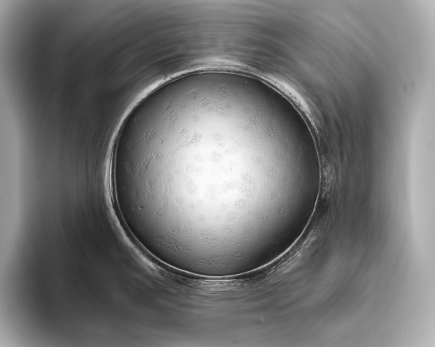 X0000093411391200710260929