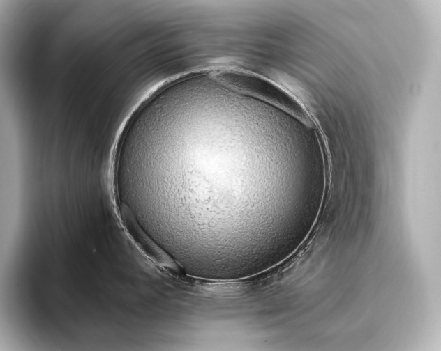 X0000093411392200710260929