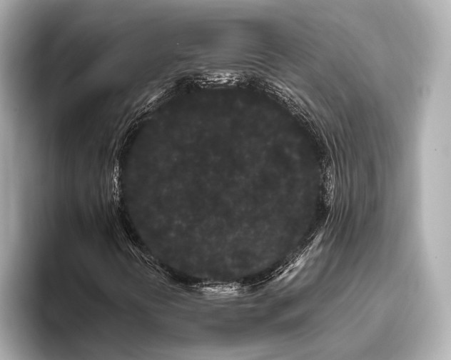 X0000093411394200710260928