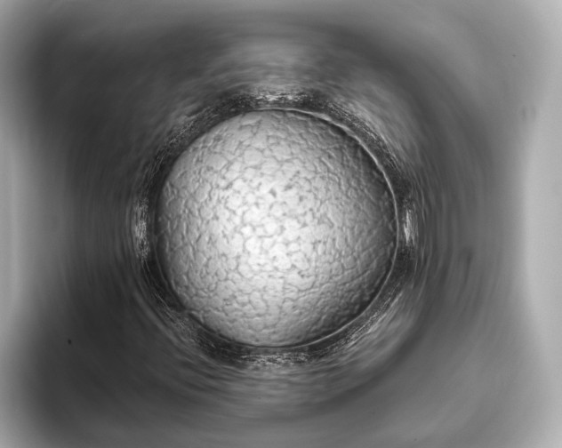 X0000093411396200710260928