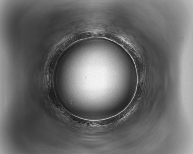 X0000093411398200710260928