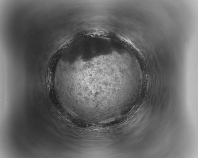 X0000093411399200710260928