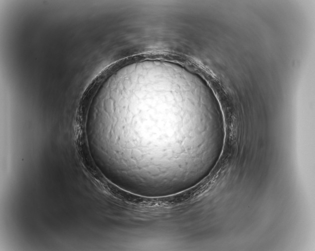 X0000093411400200710260928