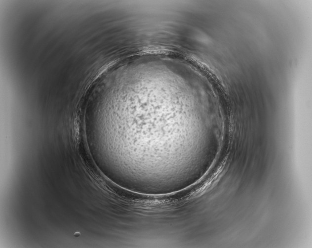 X0000093411401200710260928