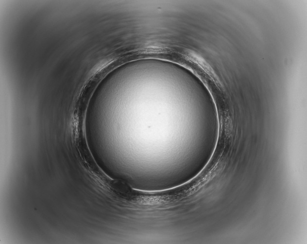 X0000093411402200710260928