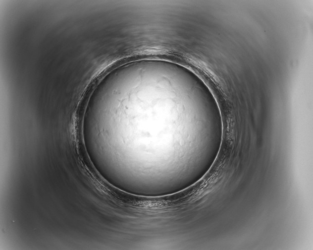 X0000093411404200710260928