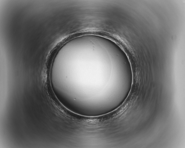 X0000093411406200710260928