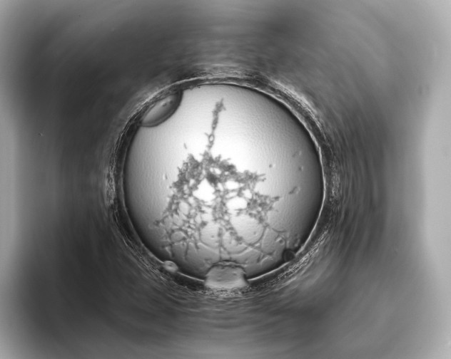 X0000093411407200710260928