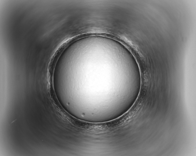 X0000093411408200710260928