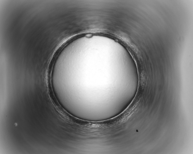 X0000093411412200710260928