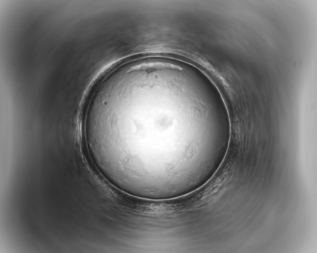 X0000093411416200710260928