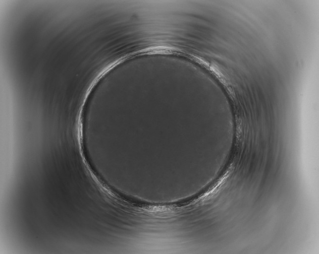 X0000093411418200710260928