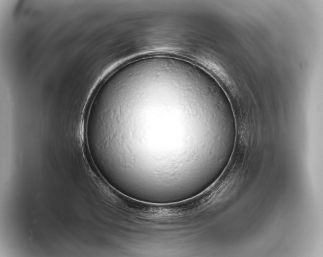 X0000093411420200710260928