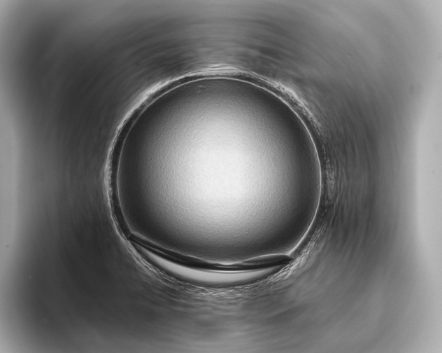 X0000093411422200710260928