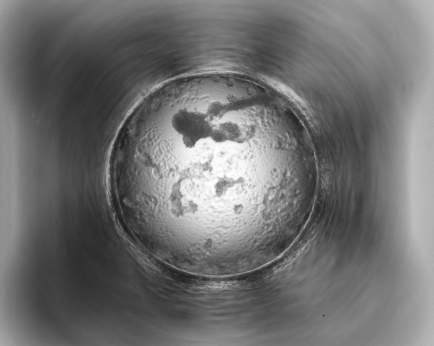 X0000093411423200710260928