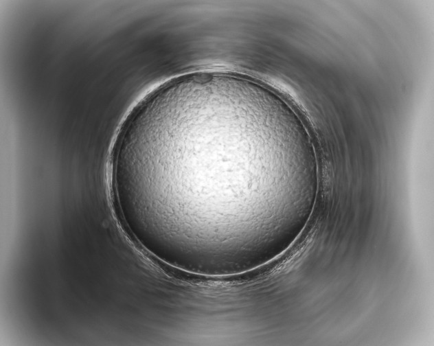 X0000093411424200710260928