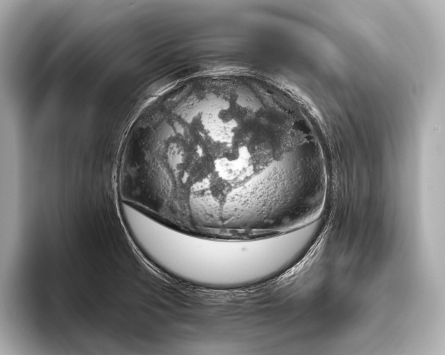 X0000093411425200710260928