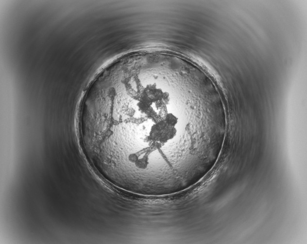 X0000093411429200710260928