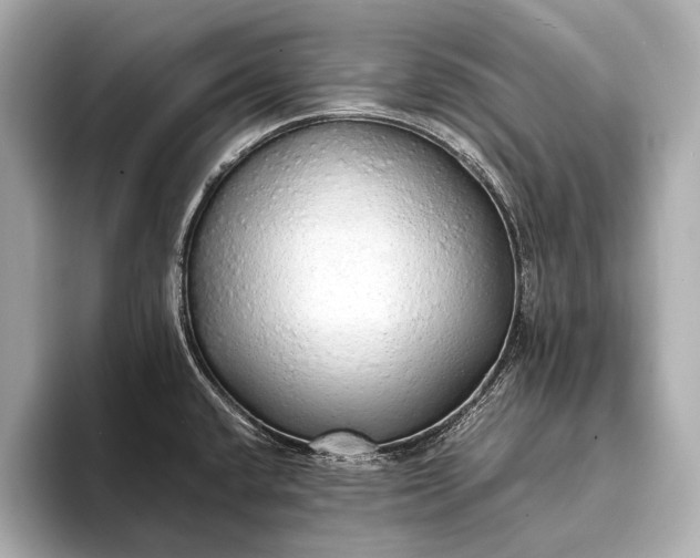 X0000093411432200710260929