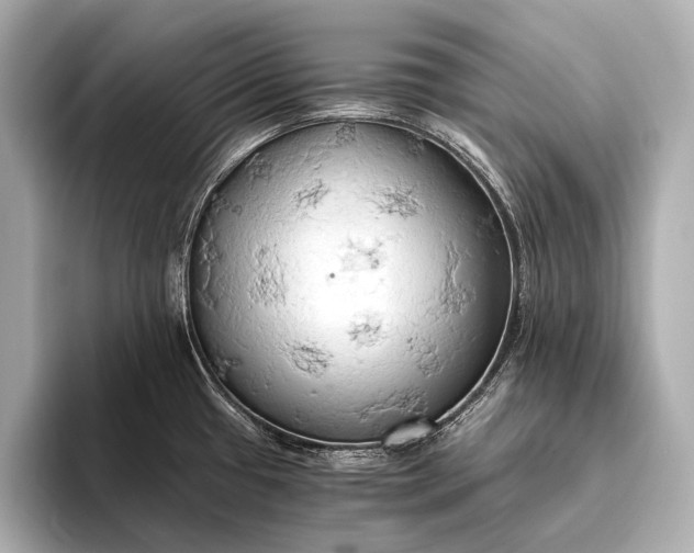 X0000093411433200710260929