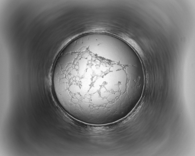 X0000093411436200710260929