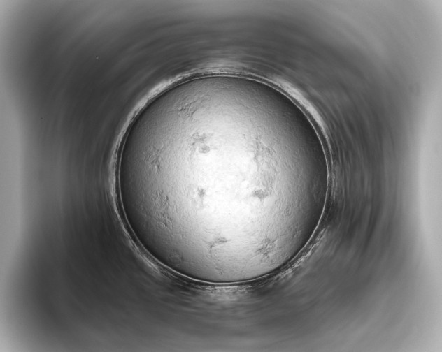 X0000093411437200710260929