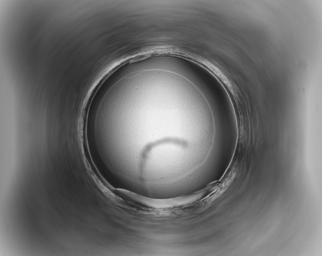 X0000093411438200710260929