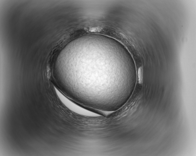 X0000093411443200710260928